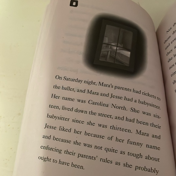 Chapter book - Picture 3 of 5